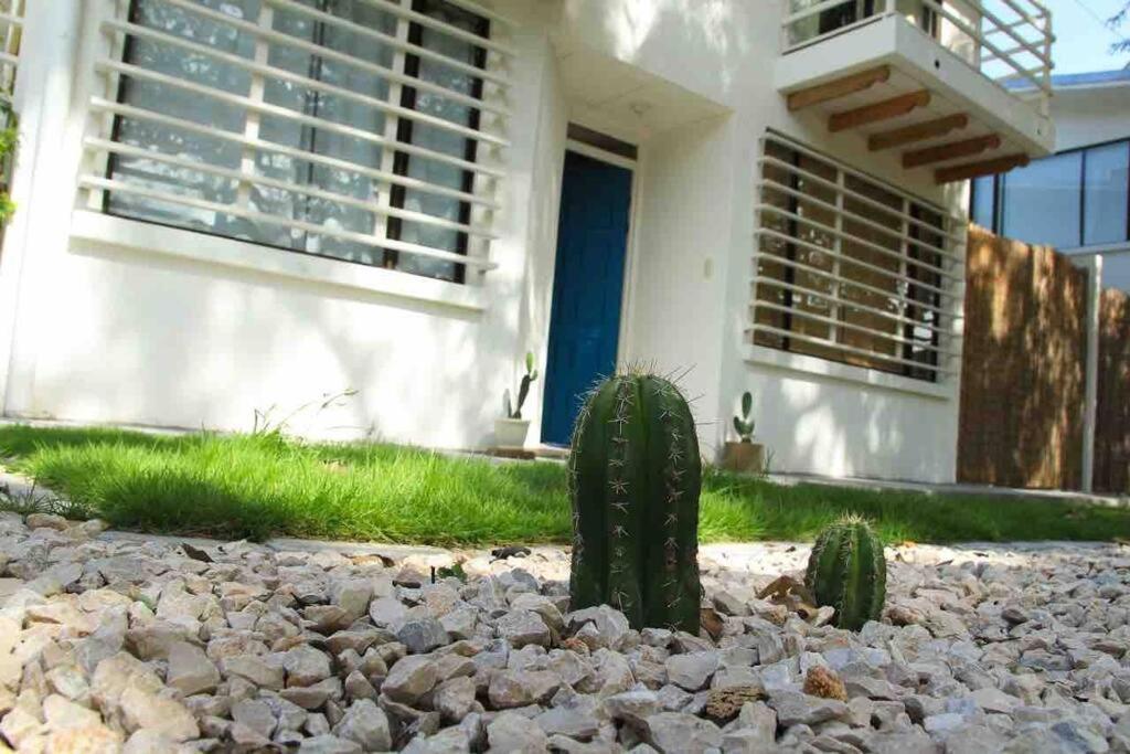 Casa Buda Liberia Cerca Del Aeropuerto Exterior photo